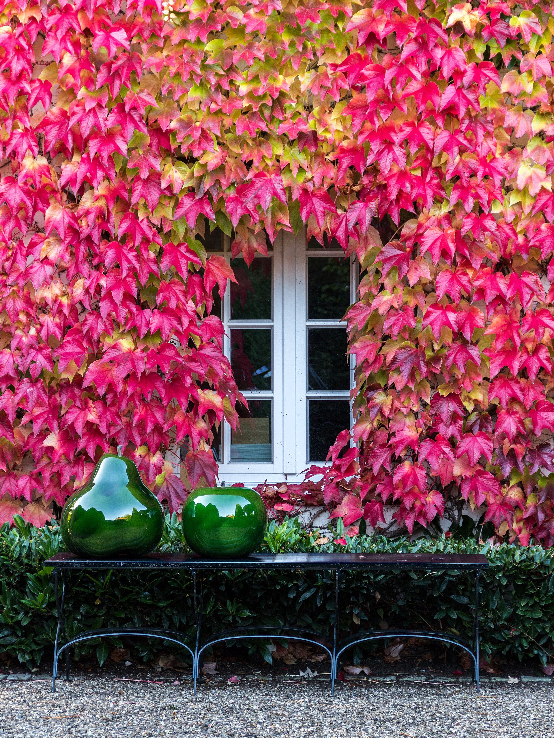 estate agent window listings