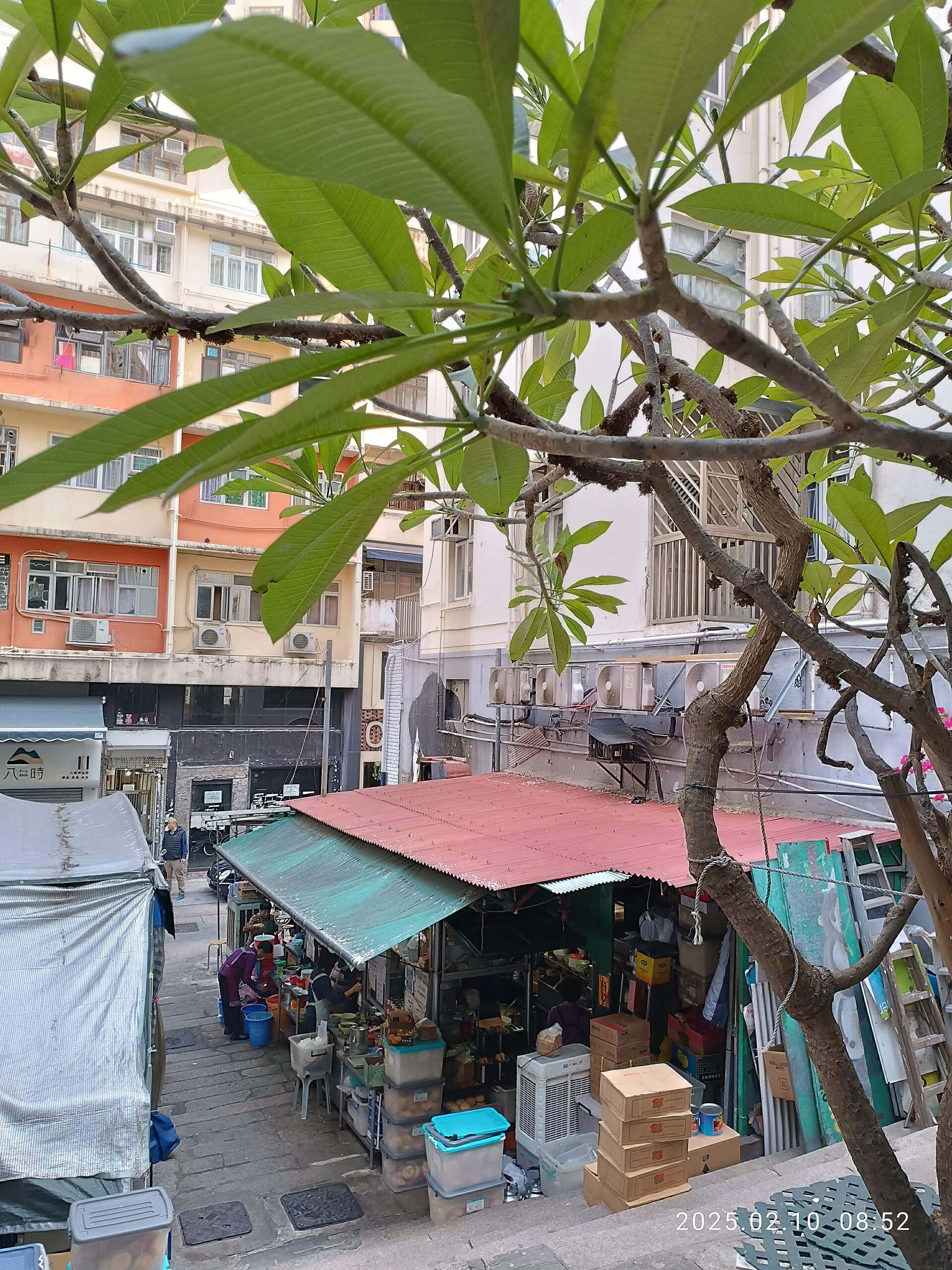 Hong Kong restaurant dai pai dong