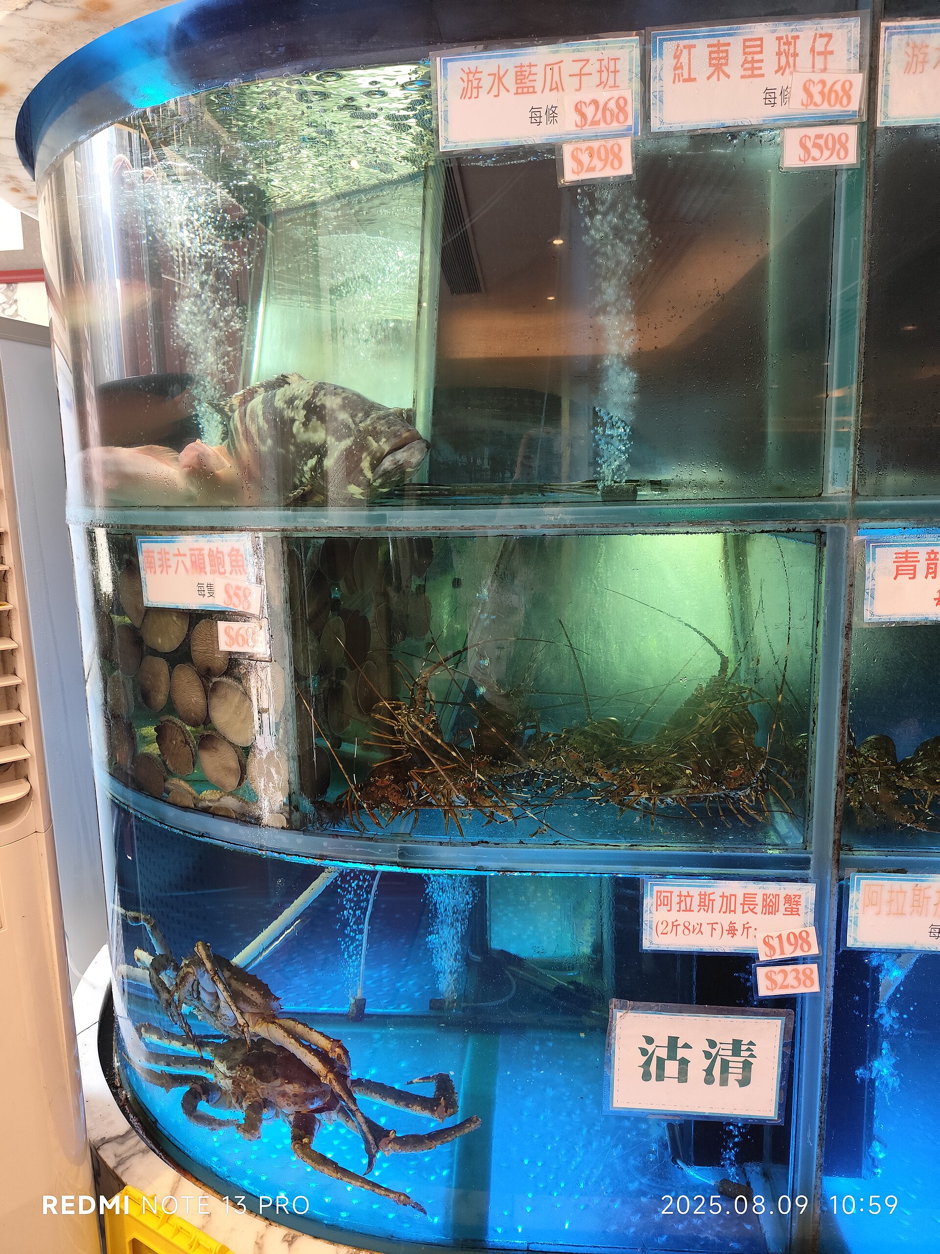 Hong Kong seafood tanks street